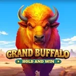 Grand Buffalo Hold and Win Grand Buffalo Hold and Win